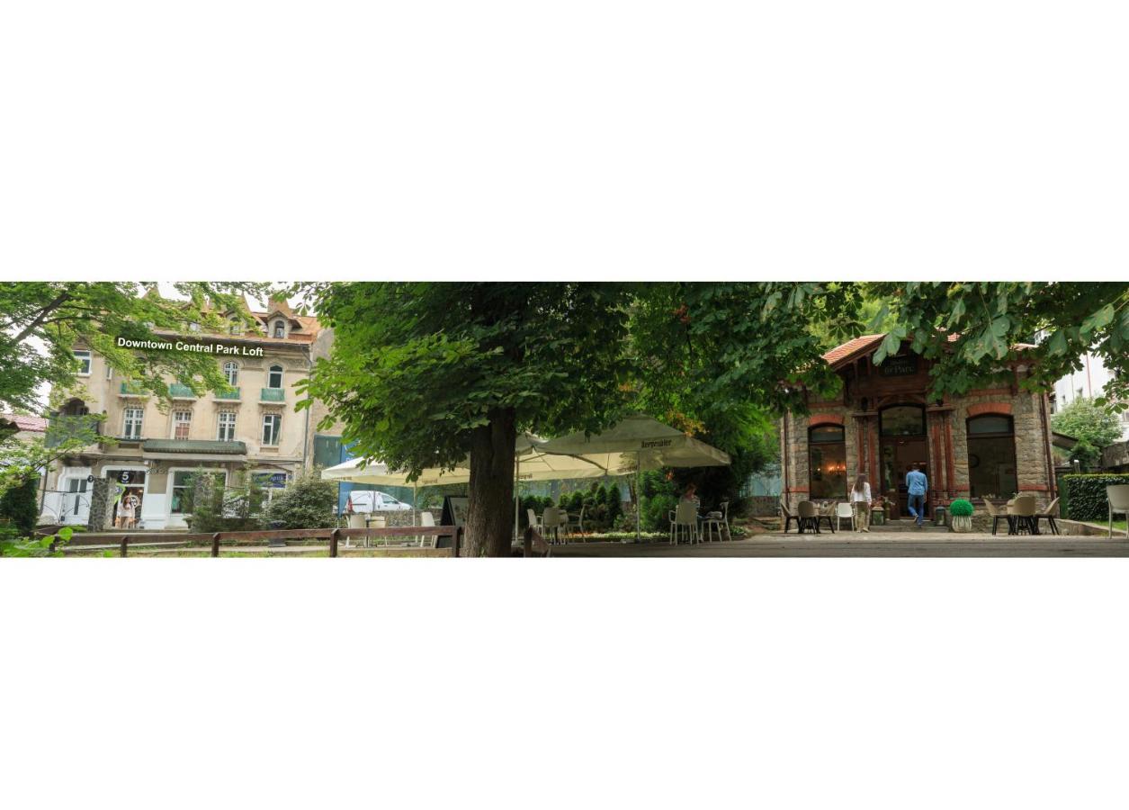 Апартаменти Downtown Park Loft Сіная Екстер'єр фото